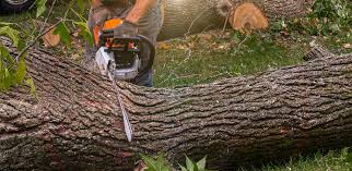 Best Weed Control  in Ceres, CA